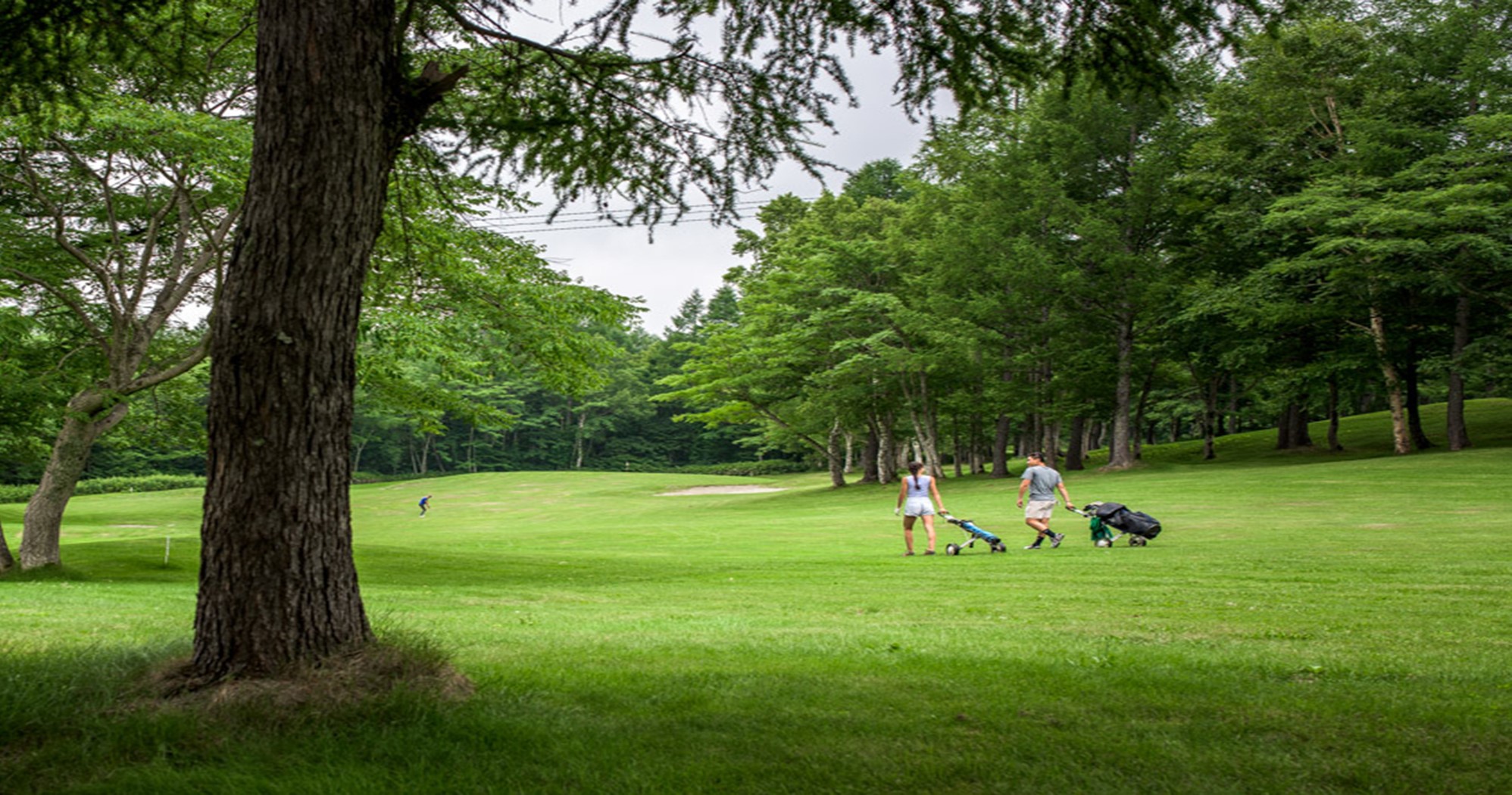 Okushiga Kogen Golf CourseImage